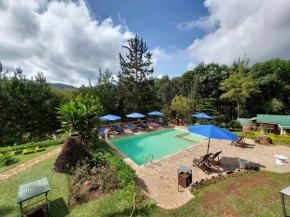 Lawns Hotel